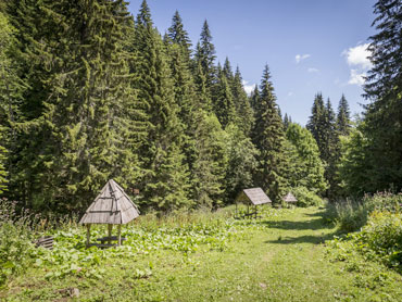 Pešačke ture